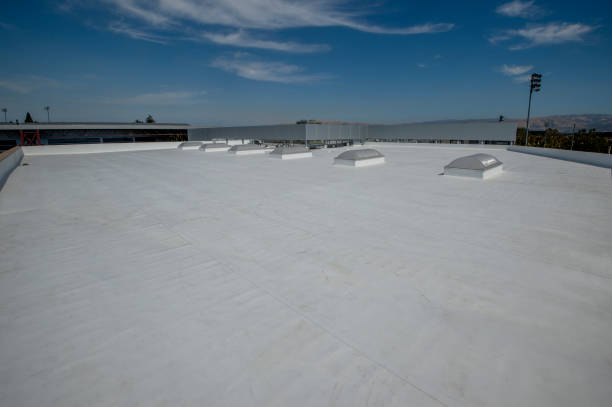 Best Rubber Roofing (EPDM, TPO)  in Elsa, TX